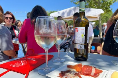 El parking del Hort del Mas de l'Abeurador acogerá la 3.ª Feria del Vino de la Canonja.