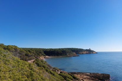 El sector litoral del Bosc de la Marquesa, amb la cala de la Roca Plana i, al fons, la torre de la Mora.