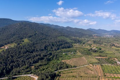 El barranco de la Trinidad, uno de los lugares que formará parte del futuro Parque Natural de las Montañas de Prades.