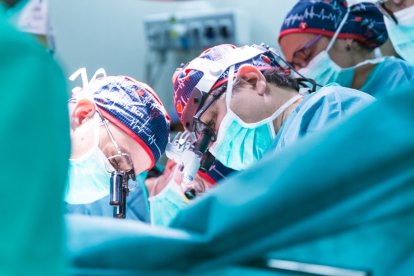 A Catalunya es van realitzar 1.344 trasplantaments d’òrgans, que representen una mitjana de 3,7 intervencions al dia.