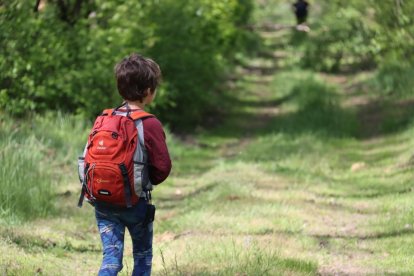 Imagen de un niño paseando.