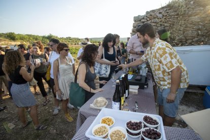 Actuación entre viñas dentro del festival Cantaperdius.