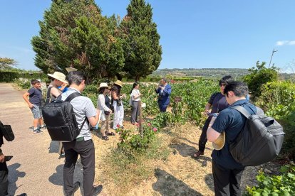 Una de les visites a un celler per part dels importadors japonesos.