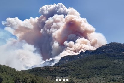 Imatge de l'incendi de Paüls.