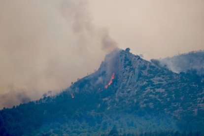 Llamas en el incendio forestal de Paüls.