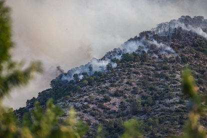 Zona afectada per l'incendi.