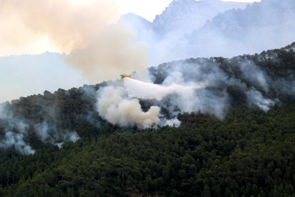 Una avioneta echa agua sobre los pinos quemados.
