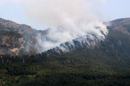 Foc a la serra de Paüls aquest dimarts a la tarda.