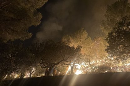 Maniobres de foc tècnic per definir ben bé el perímetre de l'incendi de Paüls.
