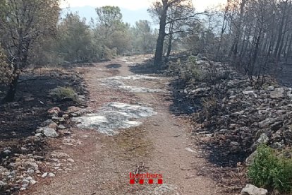 Un terreny afectat per l'incendi de Paüls.