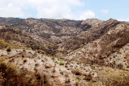 Montañas quemadas por el incendio de Paüls