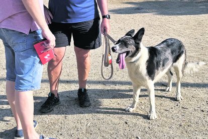 Un agente de la UMA de paisano haciendo entrega de un tríptico a un ciudadano, con su perro al lado.