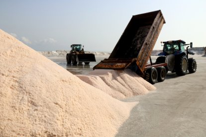Descàrrega de sal recol·lectada a les salines de la punta de la Banya.