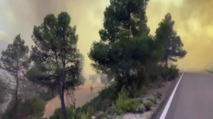 Video de l'incendi a Horta de Sant Joan.