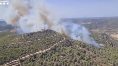 Vídeo de l'incendi forestal de la Figuera