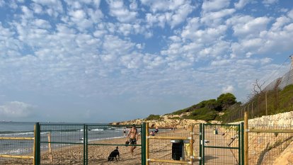 Espai per a gossos a la platja Llarga