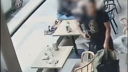 Vídeo dels robatoris