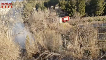 Vegetació cremada per l'incendi