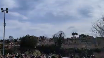 Gran Festa de la Calçotada