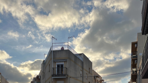 Dispositivo policial en el marco de la manifestación convocada por Vox en Bonavista.