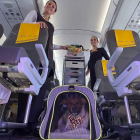 Perro en un avión de Vueling.