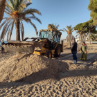 Imatge dels treballs per reconstruir el cordó dunar del parc de Voramar d'Altafulla.