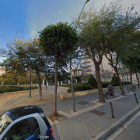 Els arbres danyats es troben a l'alçada de l'entrada al Parc de la Ciutat.
