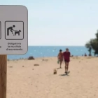 Imatge de la platja de gossos de Cambrils.