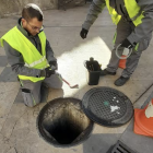 Dos operaris duent a terme el control de plagues a Reus.
