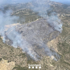 Imatge de l'evolució de l'incendi del coll de l'Alba de Tortosa aquest dimarts a la tarda, amb el vent de marinada empenyent les flames i el fum.