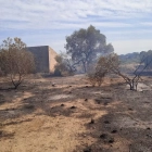 Imatge de la zona afectada per l'incendi a Riudecanyes