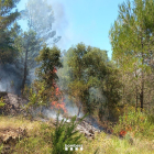 Imatge de l'incendi a Tivissa.