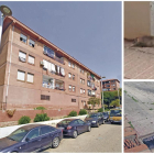 A l’esquerra, un dels blocs afectats A la dreta, una de les rates a l’entorn del carrer Riu Brugent i un forat per on surten els rosegadors.