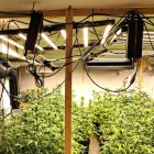 Instal·lació fraudulenta d'electricitat en una plantació 'indoor' de marihuana.