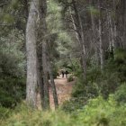Imatge de l'Anella Verda de Tarragona.