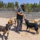 La conscienciació de la població a l’hora de xipar els gossos propicia que hi hagi menys abandonaments i, per tant, menys adopcions.