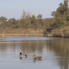 El nou Pla d’acció també contempla crear llacunes de laminació d’avingudes fluvials del riu Francolí a Tarragona.