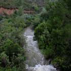 El barranc de Lloret baixant aigua dels massís dels Ports al seu pas pel terme municipal de Roquetes