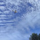 Imatge de l'avió de Vueling sobrevolant Vila-seca.