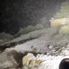 Imatge de la neu cobrint les cotes superiors del Mont Caro, a Roquetes (Baix Ebre)