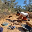 Un arqueòleg exhumant les restes de dos soldats republicans en una fossa d'Ascó.