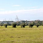 Terrenys on s'hauria de construir el Hard Rock.