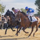 Cós de Sant Antoni de Vila-seca.