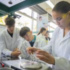 Els alumnes de 4t d’ESO de diversos insituts tarragonins van haver d’esbrinar quinze substàncies amb experiments químics i físics.