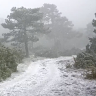 Imatge del paisatge nevat aquesta setmana als Ports