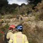 Imatge dels Bombers treballant en l'extinció de l'incendi forestal a Aleixar