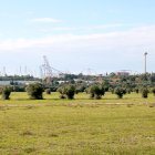 Terrenys on s’hauria de construir el Hard Rock.
