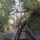 Imagen del Camí del Rec.