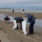 Diversos voluntaris de la jornada de neteja simultània al Parc Natural del delta de l'Ebre recullen deixalles al Garxal