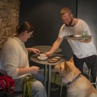 Imagen de la cafetería A Café de Santiago de Compostela, que también ha ganado el nuevo Solete 'pet friendly' de Repsol.